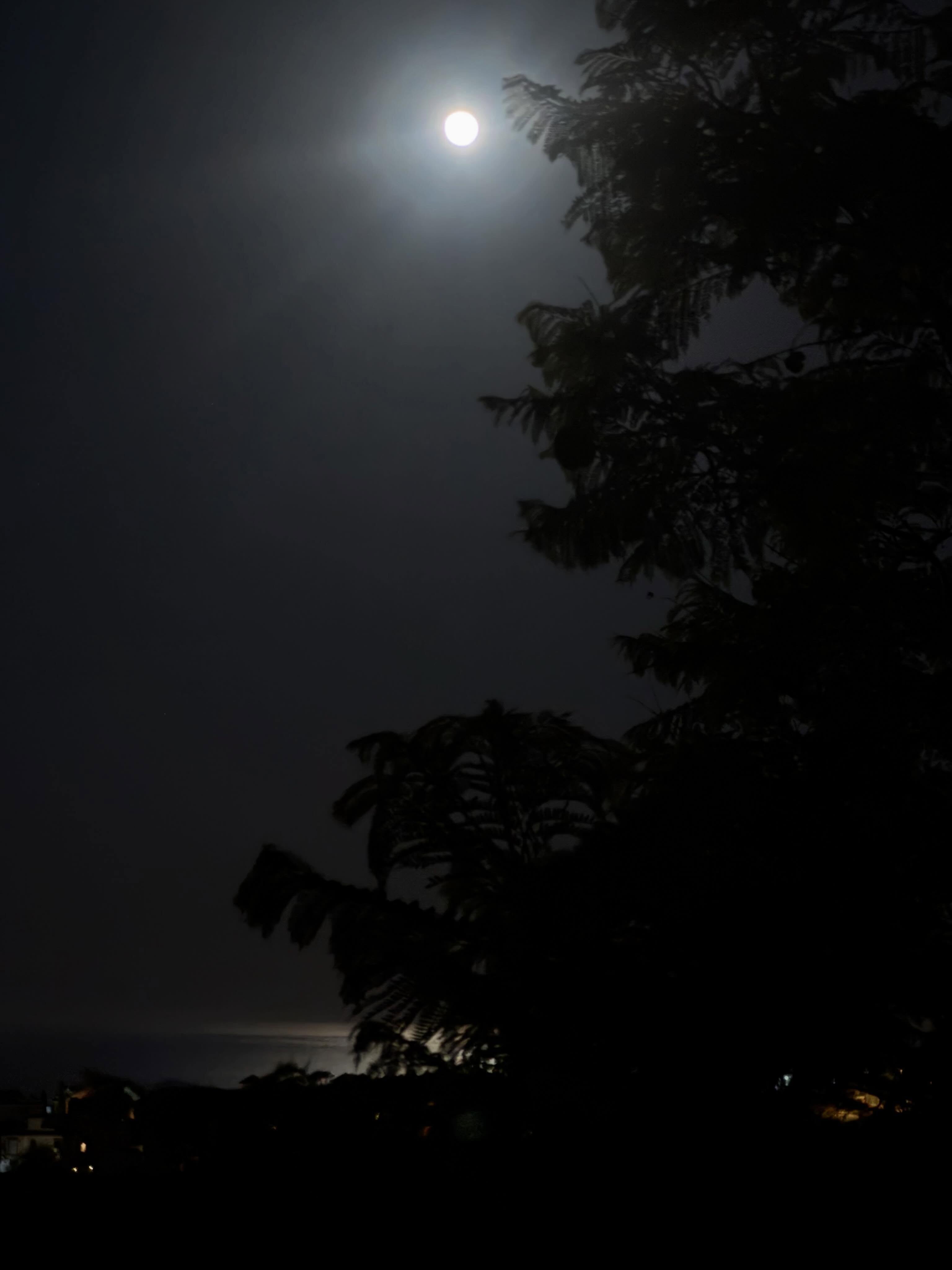 “Hoy al 99%, La Luna de Fresa marcará el primer gran guiño astronómico del verano en España. Un buen aperitivo para el eclipse solar del 12 de agosto.” 🌴 ☀️ ❤️ - LL

Se llama LUNA DE FRESA por las antiguas tradiciones de pueblos indígenas de América del Norte, que asociaban esta luna llena con el periodo de recolección de las fresas al comienzo del verano.

.
.
.
.
#travelwoman #fullmoon #summervibes #vitamind #happiness
