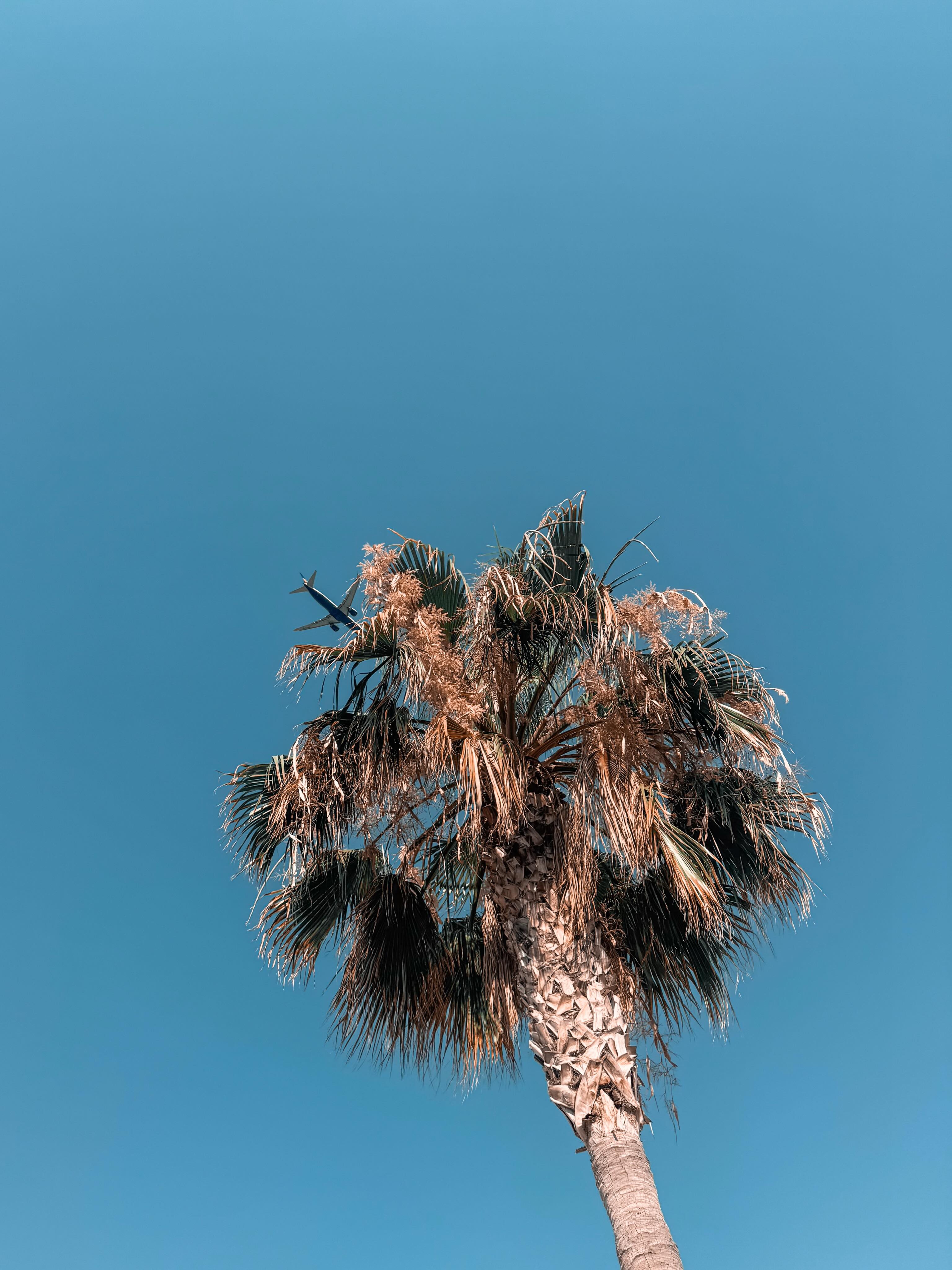 Adrenaline is a hormone and neurotransmitter produced by the adrenal glands and certain neurons. It drives the body’s acute “fight-or-flight” response to stress, excitement, or danger by rapidly increasing heart rate, blood pressure, and energy supplies 🥰 - LL

“Roller Coaster“ 🥰✈️

.
.
.
.
#travelwoman #adrenaline #summervibes #vitamind #happiness