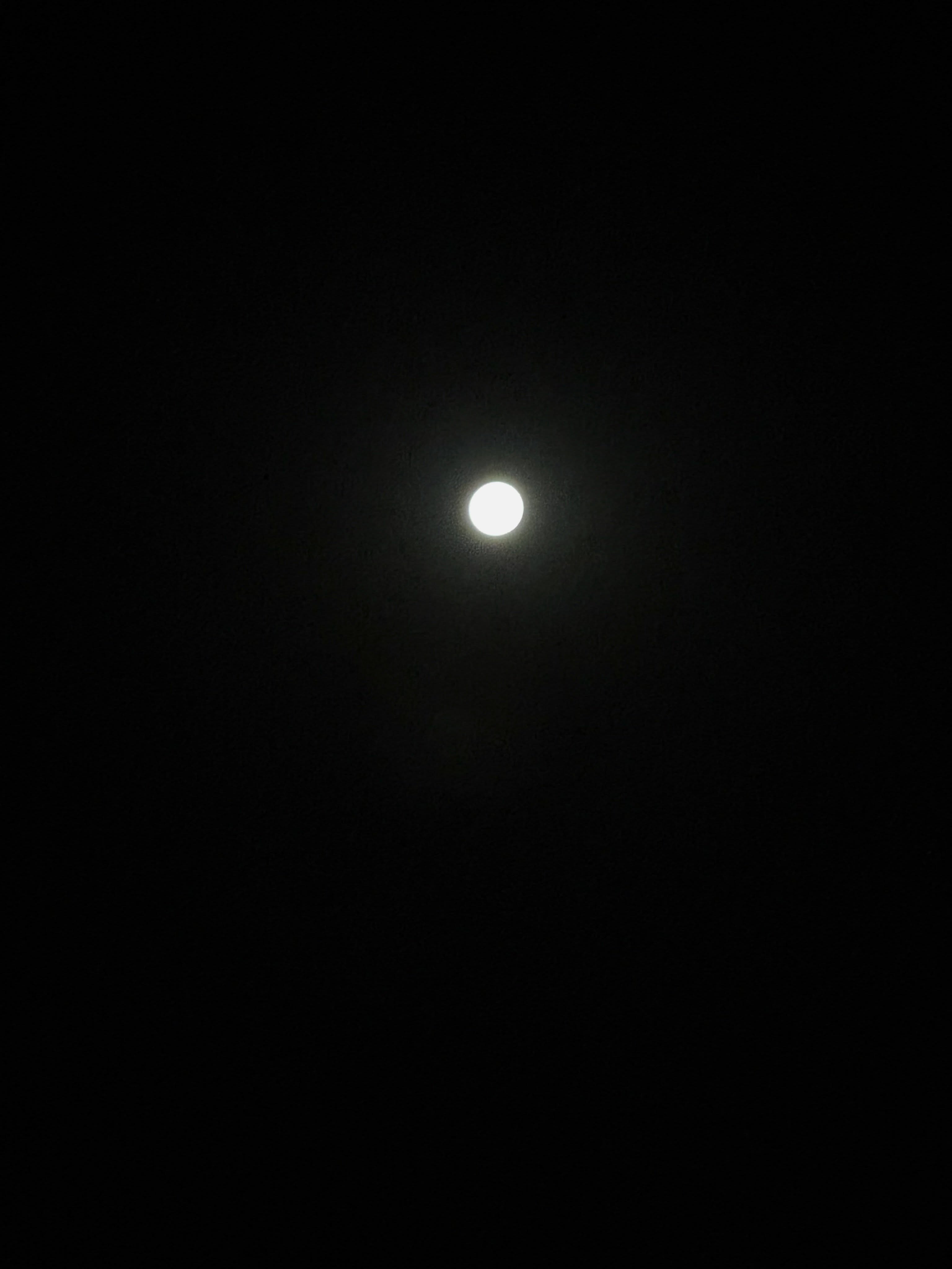 “Todos tenemos miedo.
No es un fallo. No es debilidad. Es el origen de muchas emociones.
El miedo está diseñado para protegernos del sufrimiento.” 🌖

Es momento de liberar al alma de ataduras y miedos. ❤️

Feliz luna llena de julio!. LA LUNA DEL CIERVO, es el nombre tradicional de la luna llena julio, que simboliza la renovación, el crecimiento y la fuerza interior.

.
.
.
.
 #summervibes #fullmoon #moonenergy #goodluck #freedom